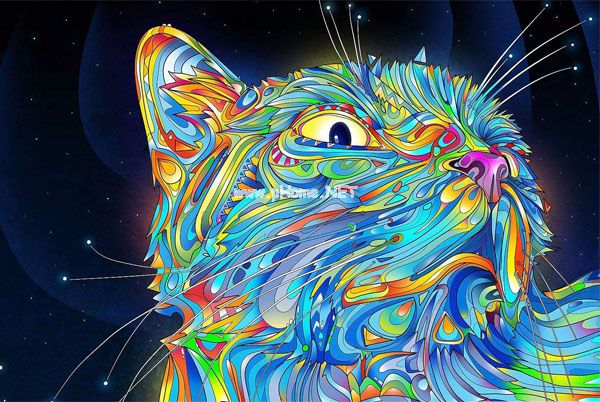 藝術插畫