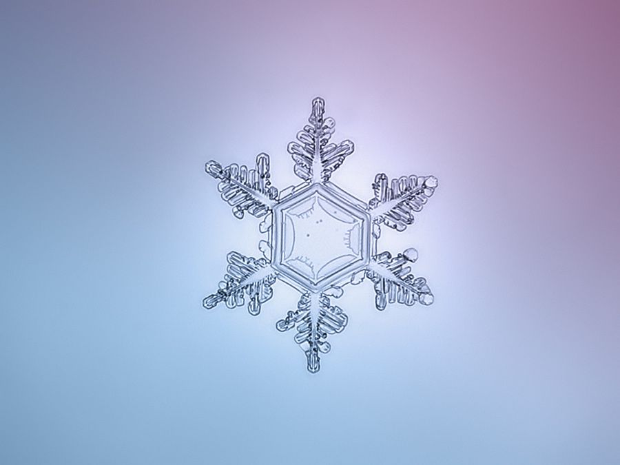 繪畫資料|精美的雪花圖片欣賞