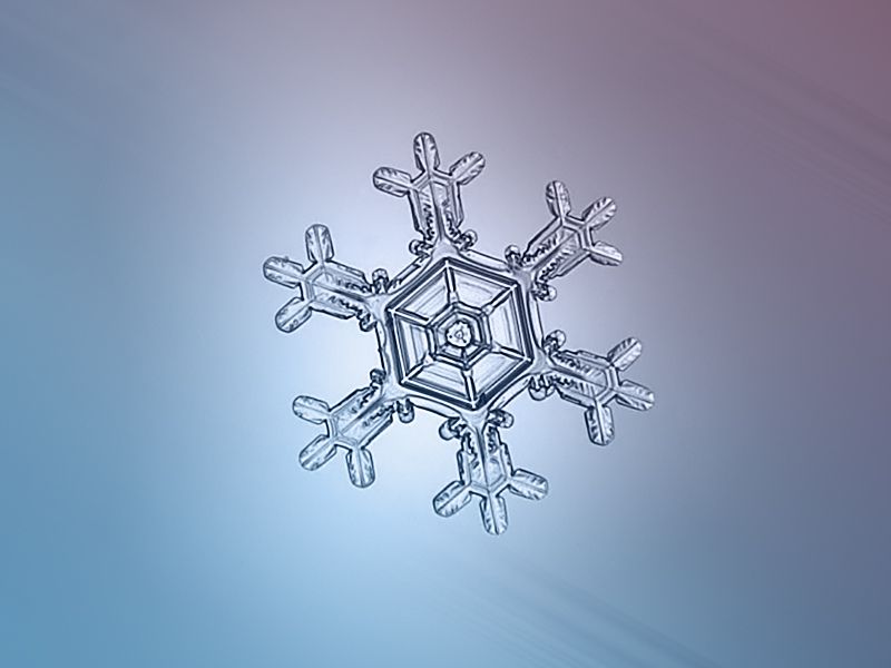 繪畫資料|精美的雪花圖片欣賞