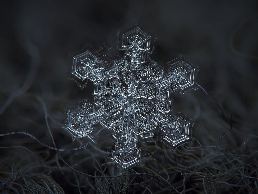 繪畫資料|精美的雪花圖片欣賞