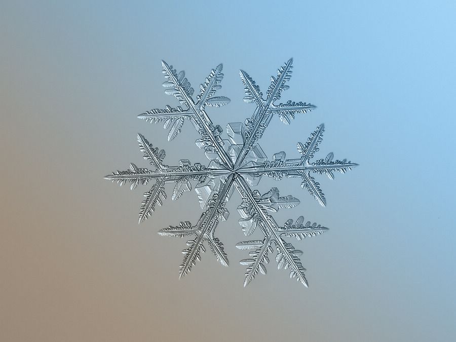 繪畫資料|精美的雪花圖片欣賞