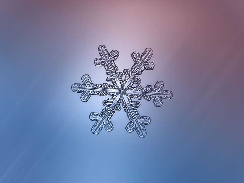 繪畫資料|精美的雪花圖片欣賞