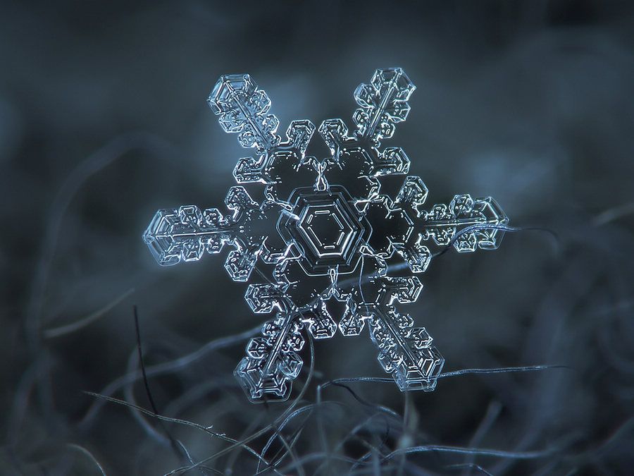 繪畫資料|精美的雪花圖片欣賞
