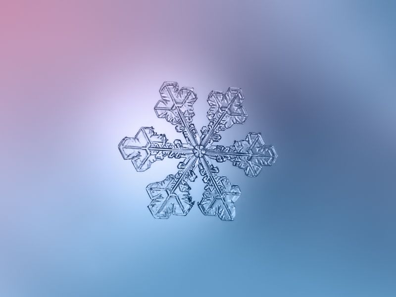 繪畫資料|精美的雪花圖片欣賞