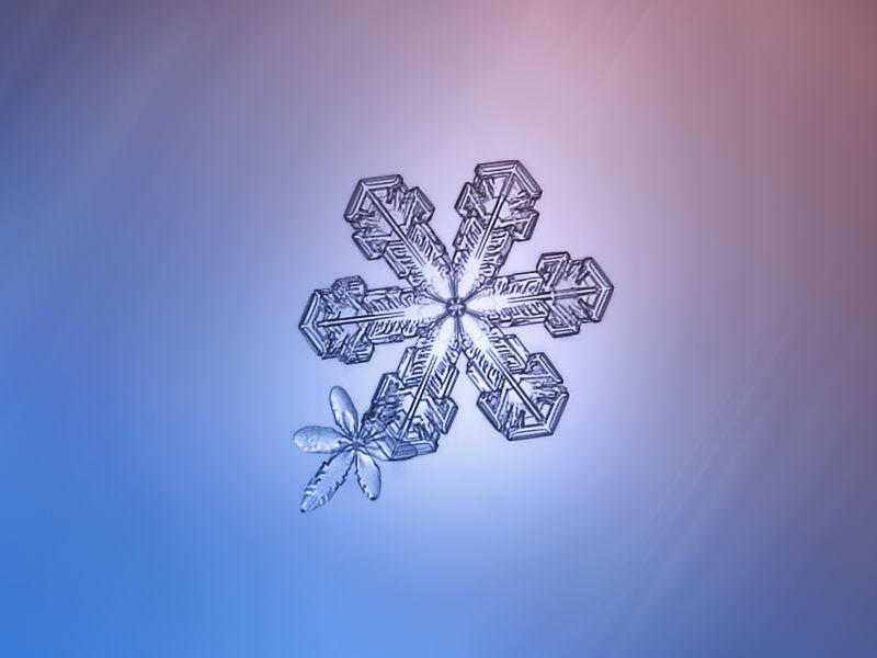 繪畫資料|精美的雪花圖片欣賞