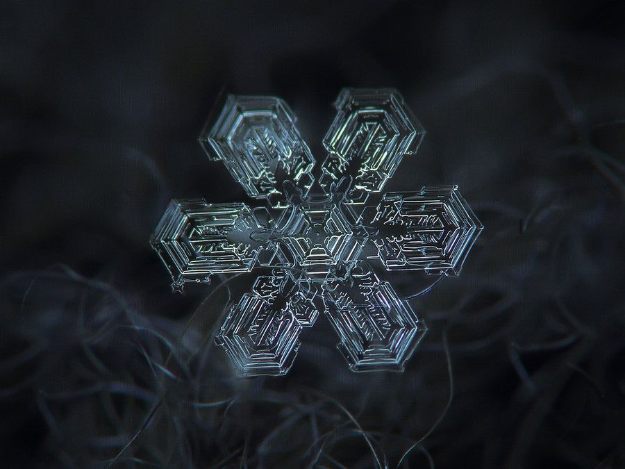 繪畫資料|精美的雪花圖片欣賞