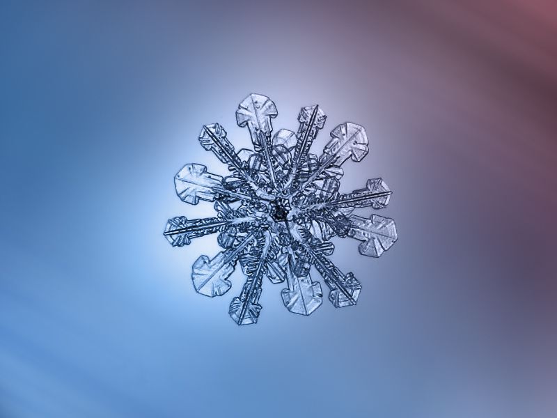 繪畫資料|精美的雪花圖片欣賞