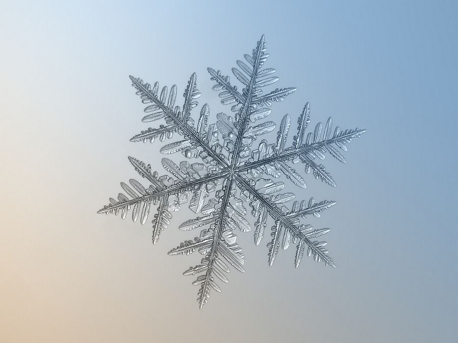 繪畫資料|精美的雪花圖片欣賞