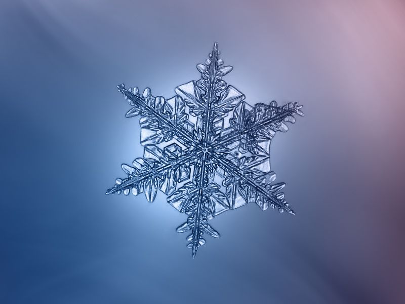 繪畫資料|精美的雪花圖片欣賞