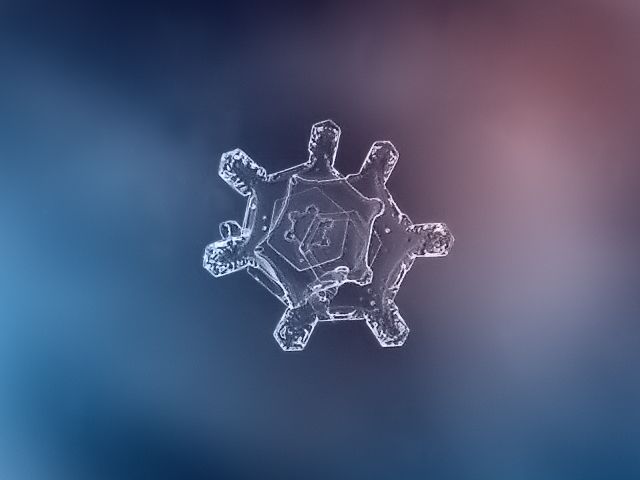 繪畫資料|精美的雪花圖片欣賞