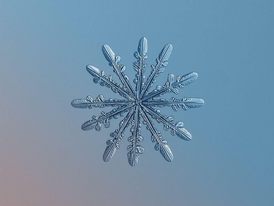 繪畫資料|精美的雪花圖片欣賞