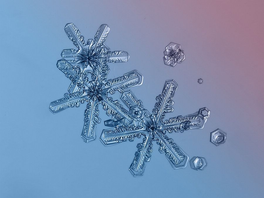 繪畫資料|精美的雪花圖片欣賞