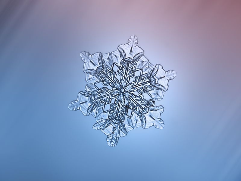 繪畫資料|精美的雪花圖片欣賞