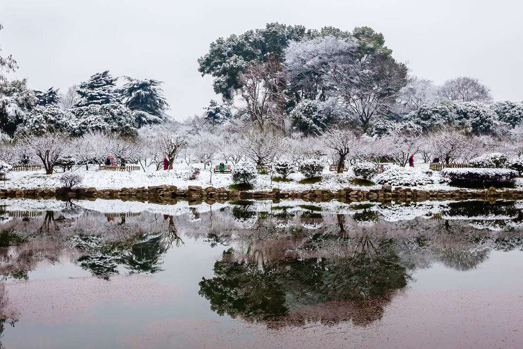繪畫資料|精美的雪花圖片欣賞