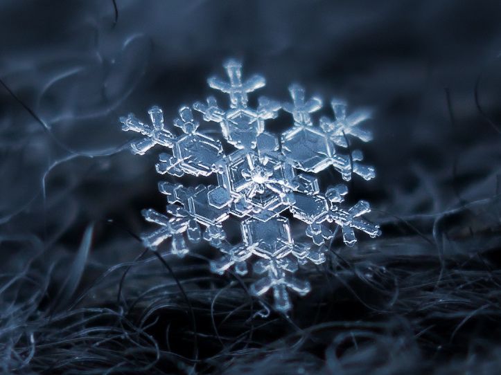 繪畫資料|精美的雪花圖片欣賞