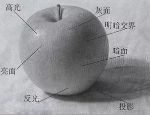 素描|繪畫的基礎