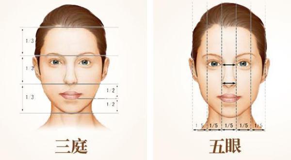 板繪厚涂的繪畫步驟