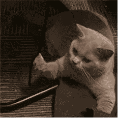 微信圖片_20201202103317.gif