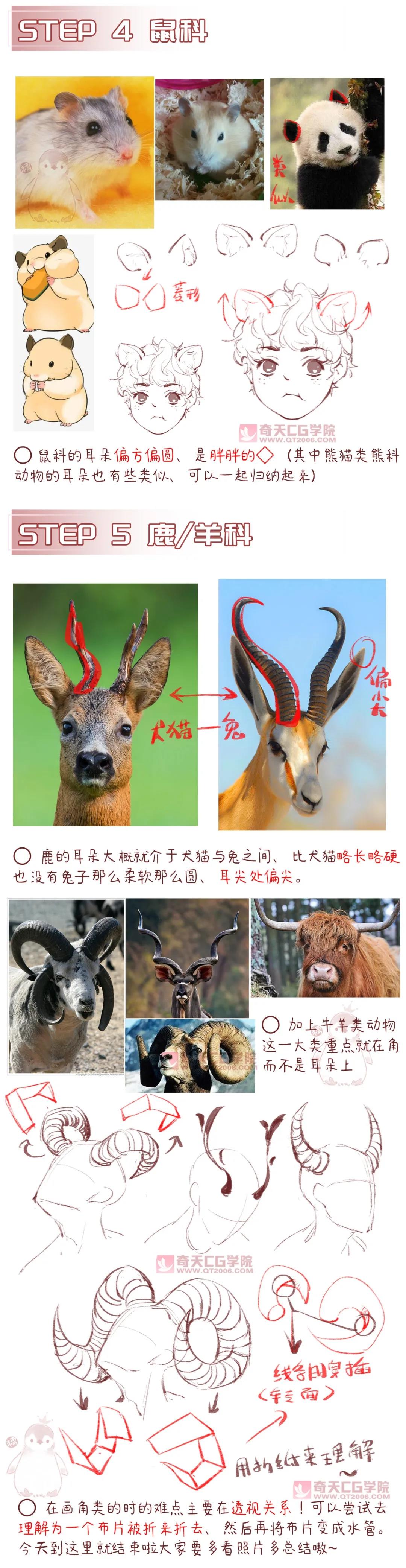 二次元獸耳繪畫技巧.jpg