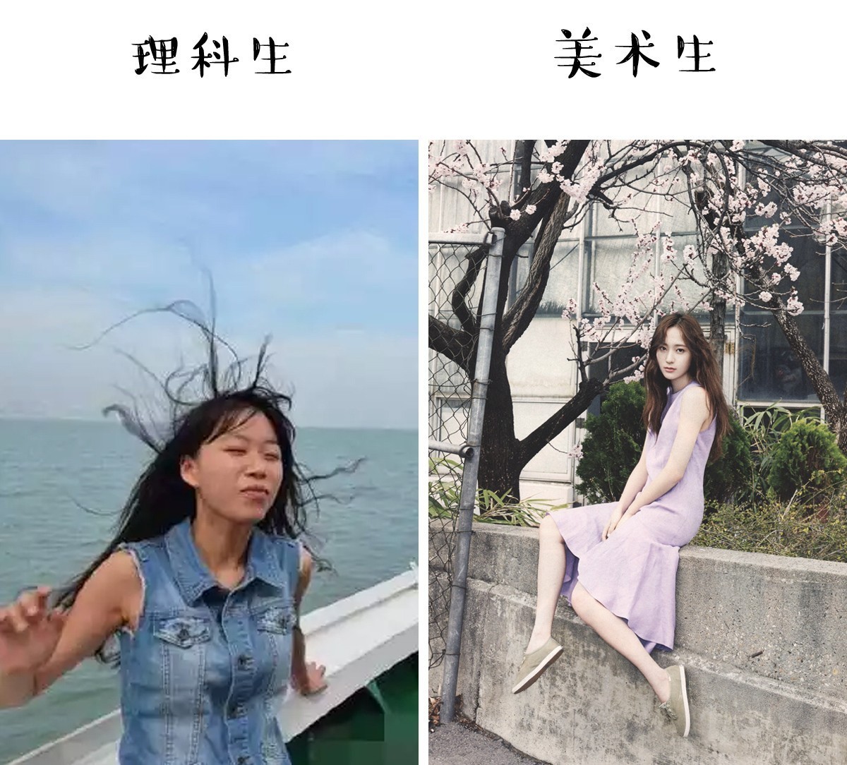 美術生和理科生的區別，沒有對比就沒有傷害