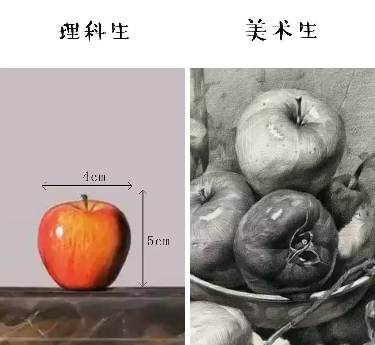 美術生和理科生的區別，沒有對比就沒有傷害
