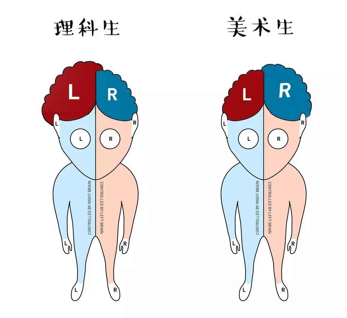 美術生和理科生的區別，沒有對比就沒有傷害