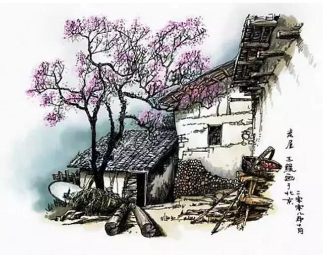 美極了的手繪插畫