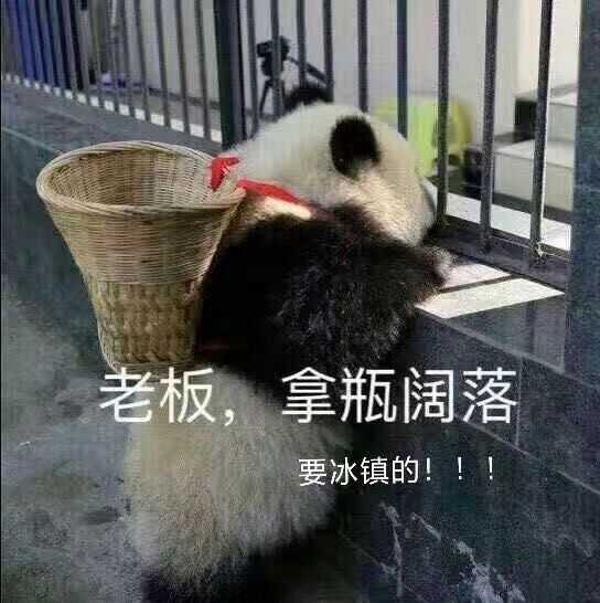 用Photoshop進行表情包的制作