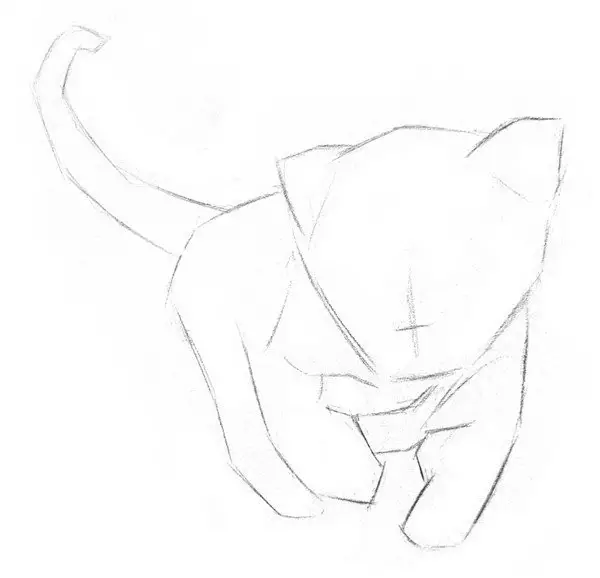 素描小獅子的繪畫技法|入門素描教程