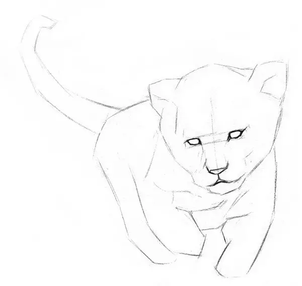 素描小獅子的繪畫技法|入門素描教程