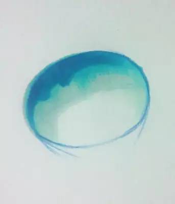馬克筆教程|水珠的繪畫過程