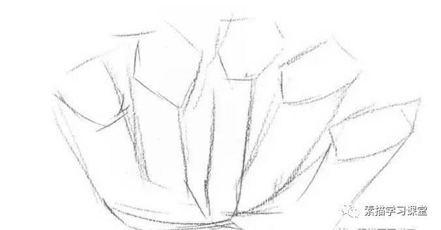 素描教程|瓶子草的繪畫技法