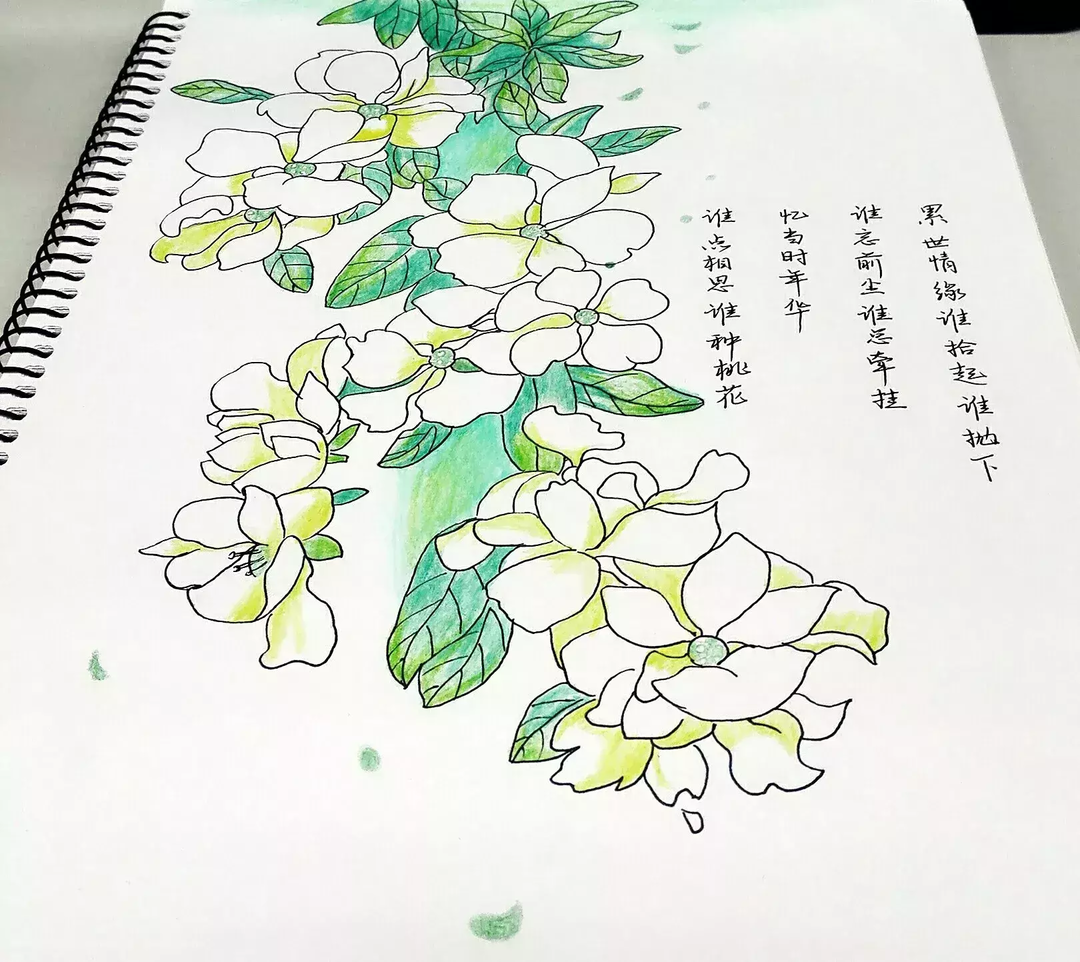 干貨-零基礎如何自學繪畫