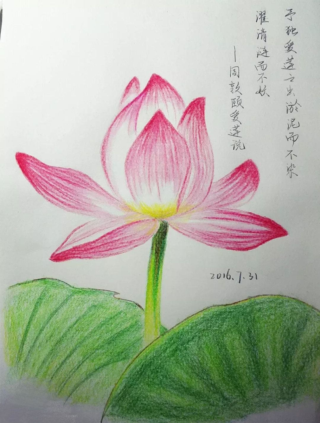 干貨-零基礎如何自學繪畫