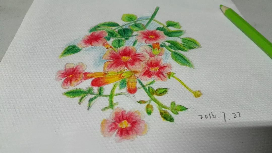 干貨-零基礎如何自學繪畫