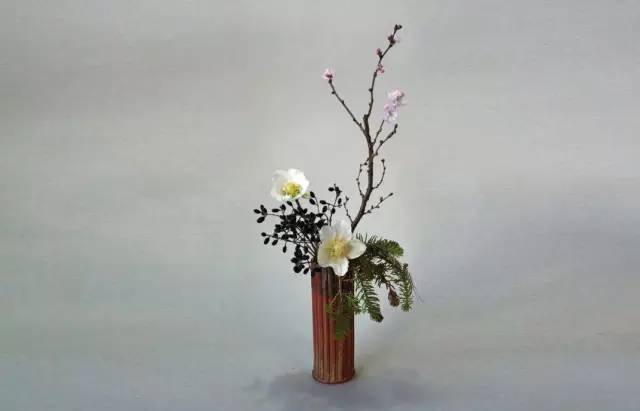 插畫技巧-插花基礎六法