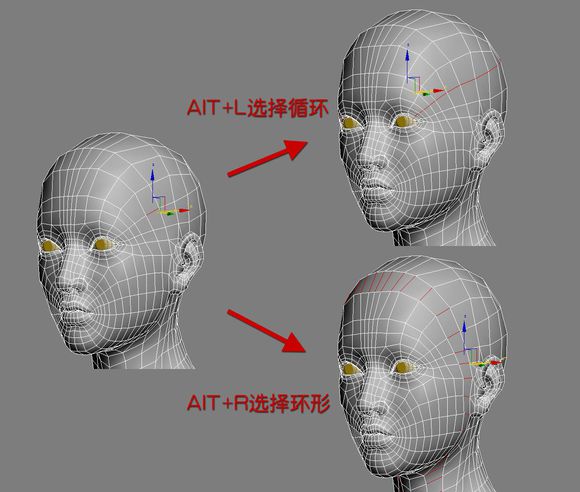 3DMAX建模教程之女性角色模型