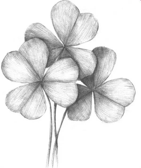 自學素描