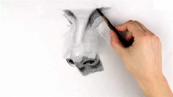 素描鼻子畫法步驟圖片教程
