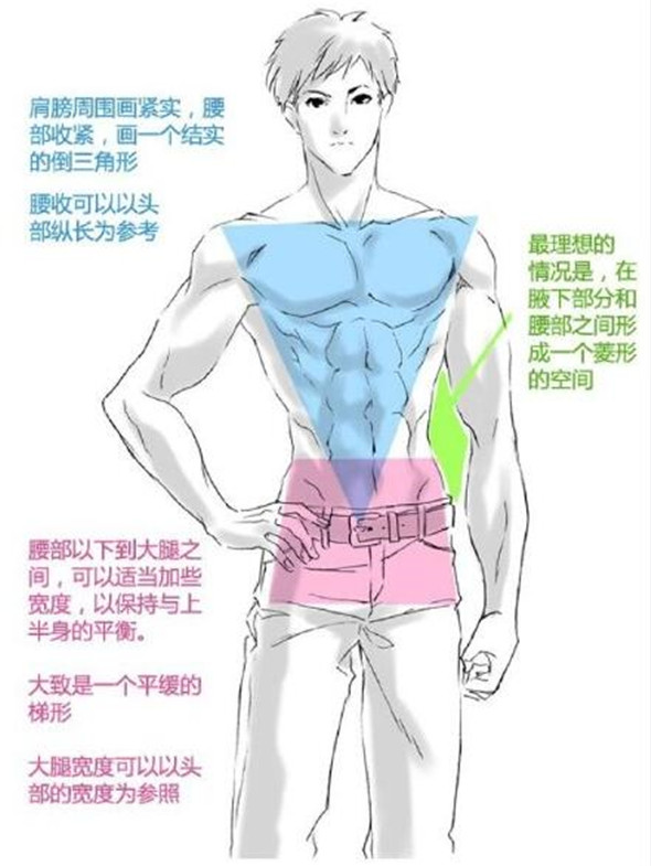 漫畫教程：人體肌肉結構素材講解具體畫法分析