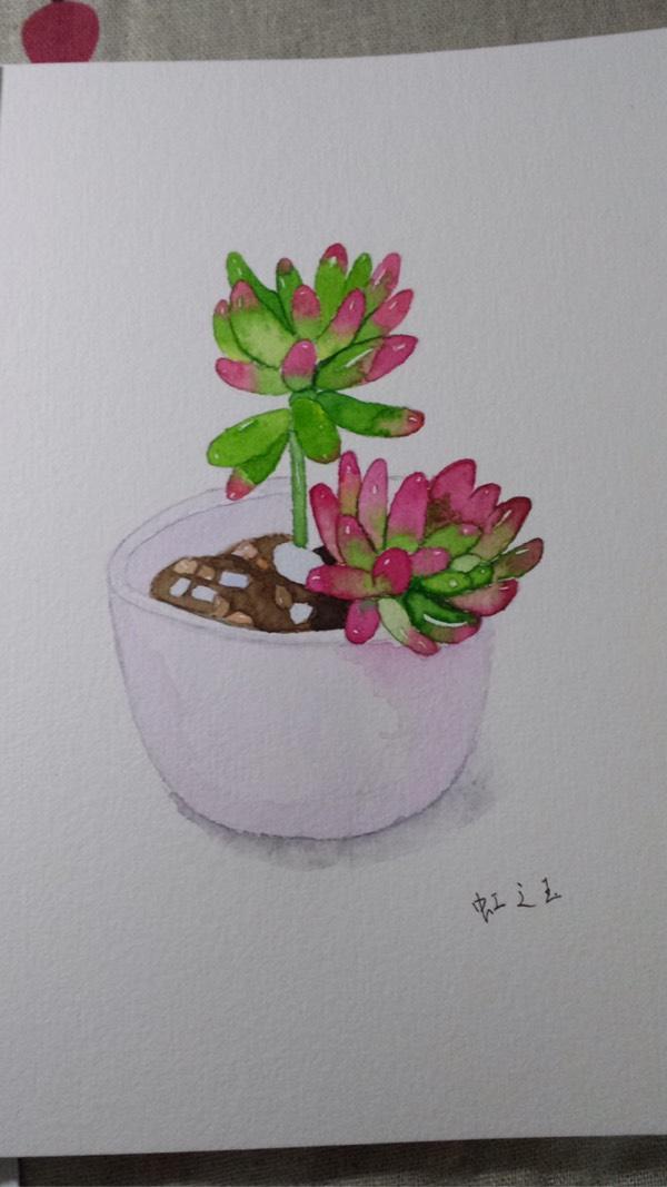 零基礎當然也能學水彩（超詳細）
