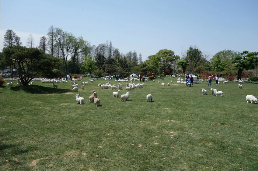磨山1.jpg