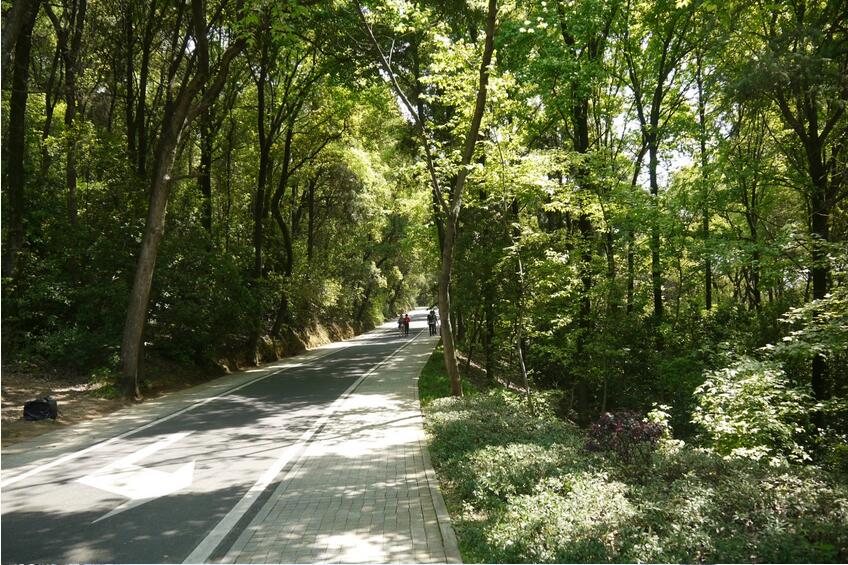 磨山6.jpg