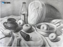 奇天CG學院,美術基礎,素描靜物1
