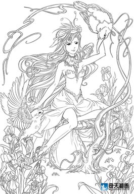 奇天CG學院,手繪插畫,鳥