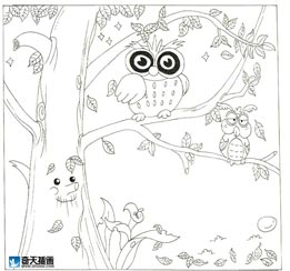 奇天CG學院,手繪插畫,貓頭鷹41
